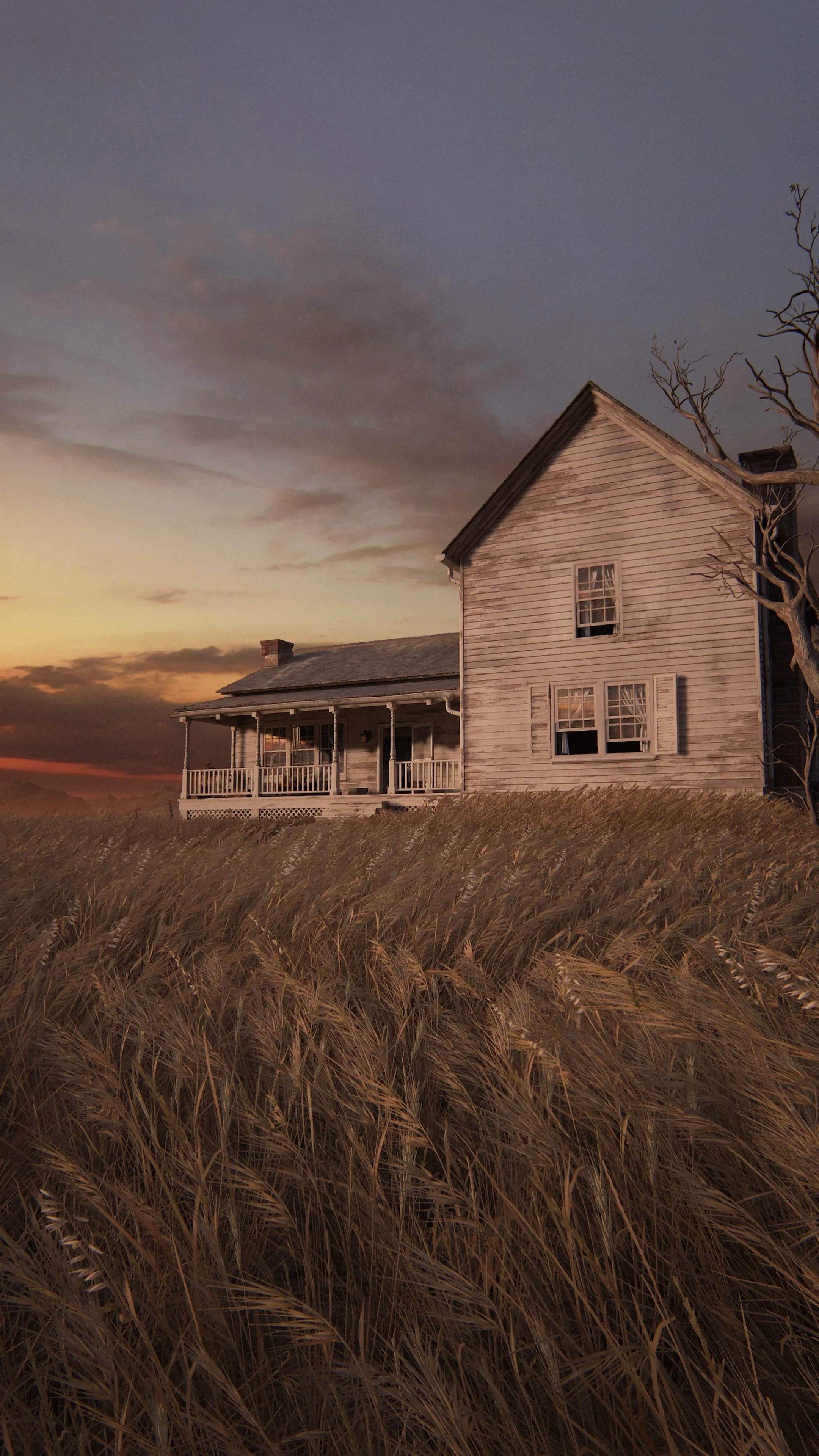 House in a farm